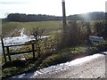 Footpath near Ripple Manor