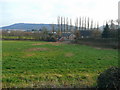 Pasture land north of the Rudhall Brook