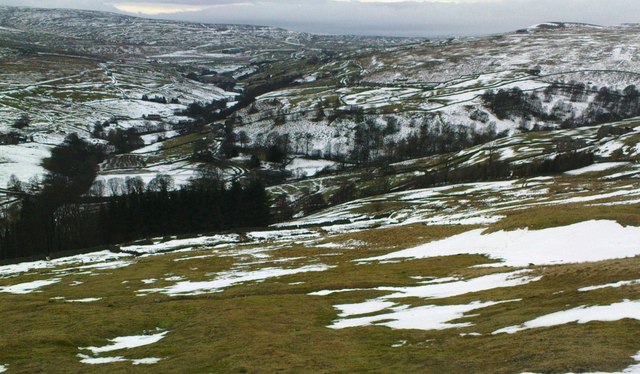 Upper Arkengarthdale from Windegg Pasture