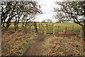 Public Footpath and Gate