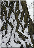 SK6139 : Snow patterns by Alan Murray-Rust