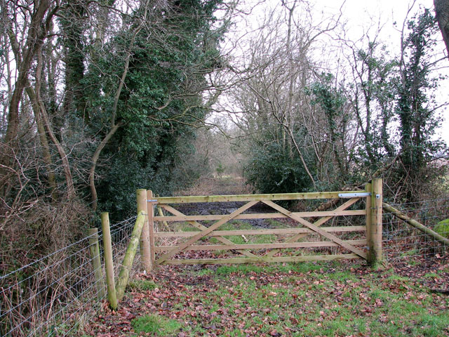 Gate in corner of pasture