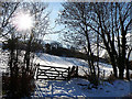 Snowy landscape near Joys Green