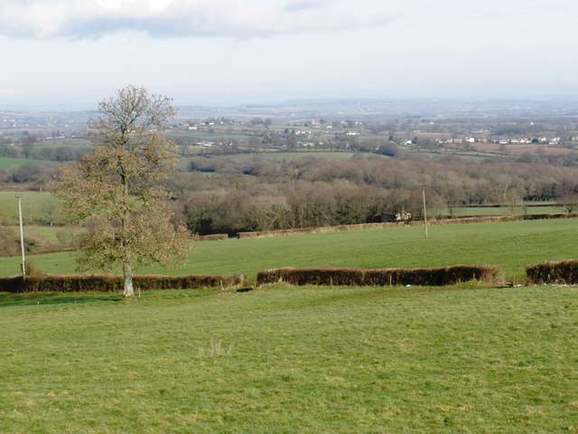 Fields, near Ham Farm