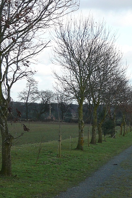 Farm track south of Whitchurch Hill