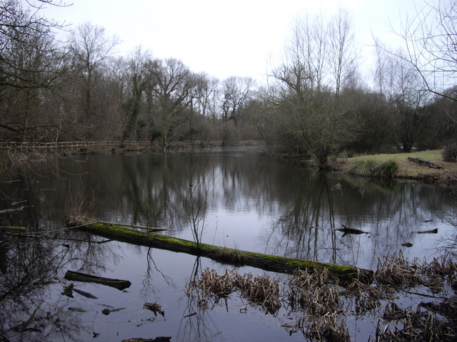 Lake by Collin's Coppice