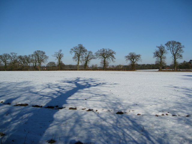 Shadows and snowy fields