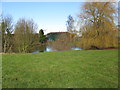 The pond at Little Walmestone