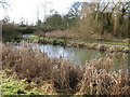 Pond near Elmstone church