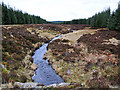 NN9142 : Tombane Burn in Griffin Forest by Dr Richard Murray