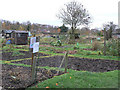 Trent Lane allotments