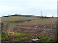 Arable land of Newland Common