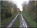 Bridleway towards Mapperley