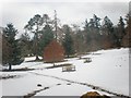 Sheep Tracks in Corrybrough Parkland