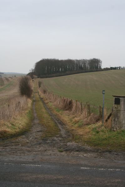 Bridleway to White hill