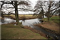 Grizedale Brook Meets River Wyre