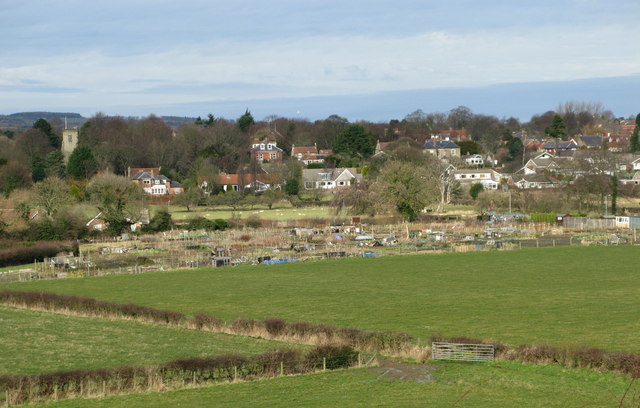 Allotment Gardens at Newby