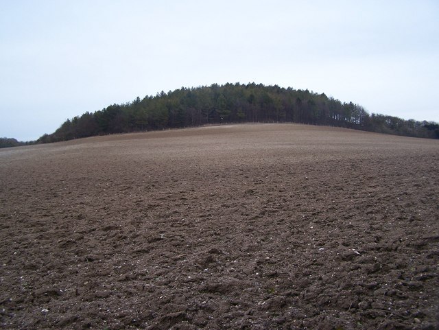 Mile Hill