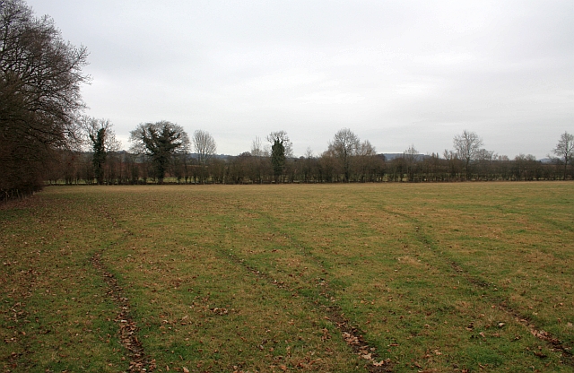 Pasture near Swinmore Common
