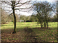 Path through Ling Common