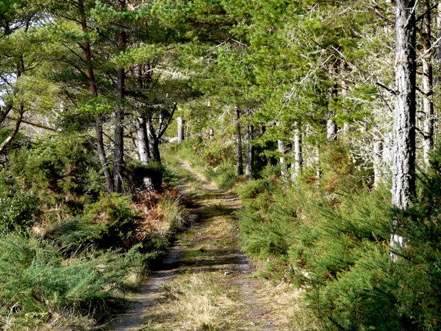 Track to Loch as Airde