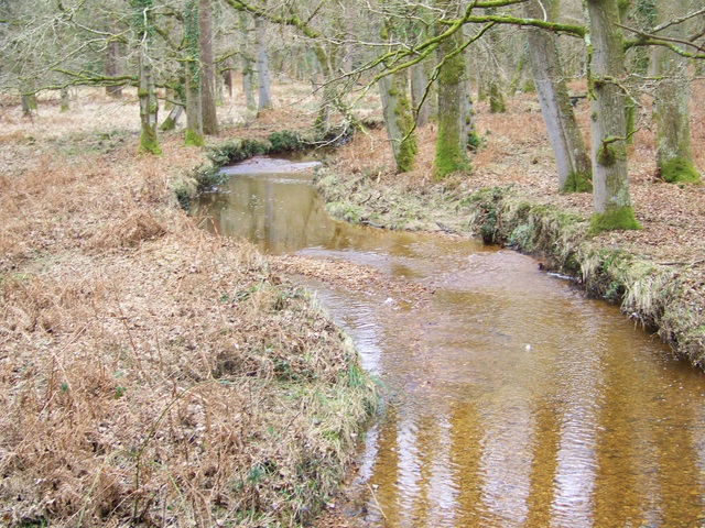 Latchmoor Brook