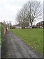 Trees in Bransley Close