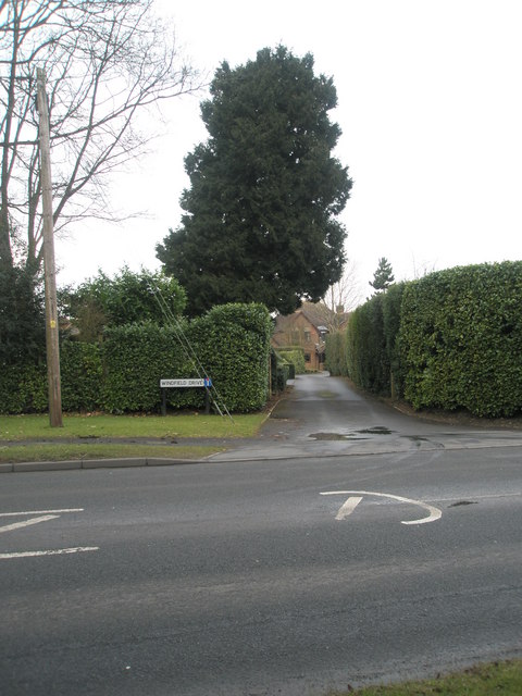 Looking across the Winchester Road and into Windfield Drive