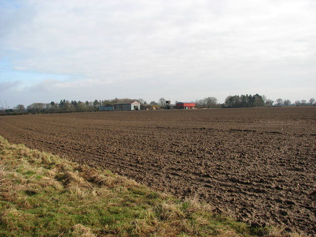 Cultivated field adjoining farm track