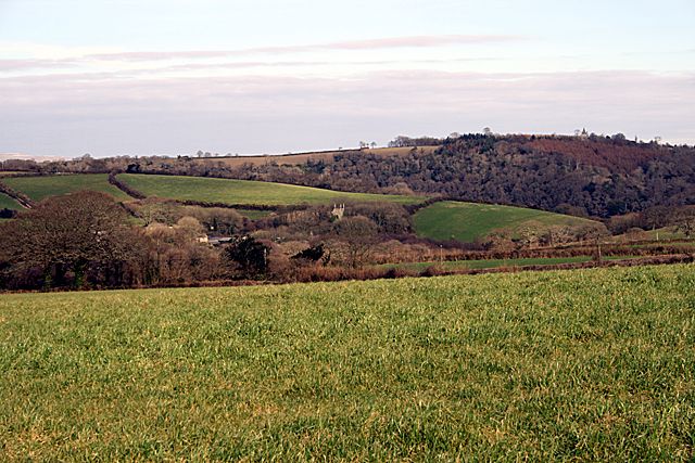 Grassland near Coombe