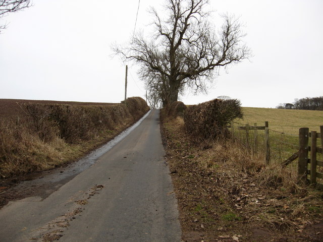 The country road, lined with rustic hedging, to Brownrigg Farm