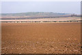 Farmland at Fornham All Saints