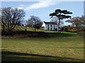 Dyffryn, with a Scots pine