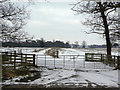 Fields near Kingston