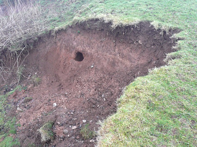 Landslip and burrow, Glassonby