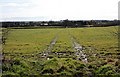 SO8140 : Pasture, Hook Common by Bob Embleton