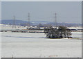 View across Ruddington Moor