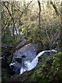 Aberfforest waterfall from above