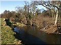 River Teign at Chudleigh Knighton