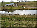 The pond at Newhouse