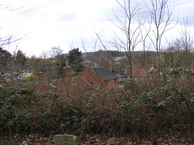 The Rooftops of Walpole