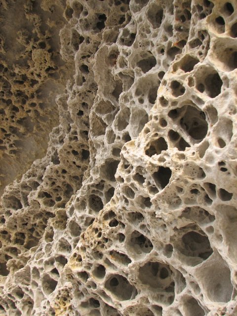 Honeycomb rock © Callum Black cc-by-sa/2.0 :: Geograph Britain and Ireland