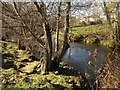 River Teign at Chudleigh Knighton