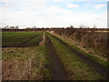 Track and Field near Hatfield Moors