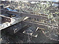 Chichester - old rails and sleepers near the railway line