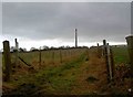 Footpath from Long Lane