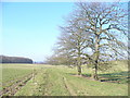 Footpath from Parsonage Farm