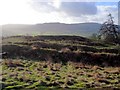 West Hills Iron Age Hill Fort