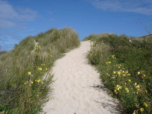 Dune path on the east side of the Camel Estuary