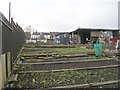 Allotments - Westfield Road